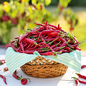 辣椒怎么評(píng)選辣味等級(jí)？當(dāng)然用HPLC來測(cè)啦！